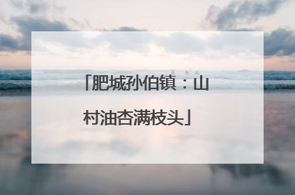 肥城孙伯镇：山村油杏满枝头